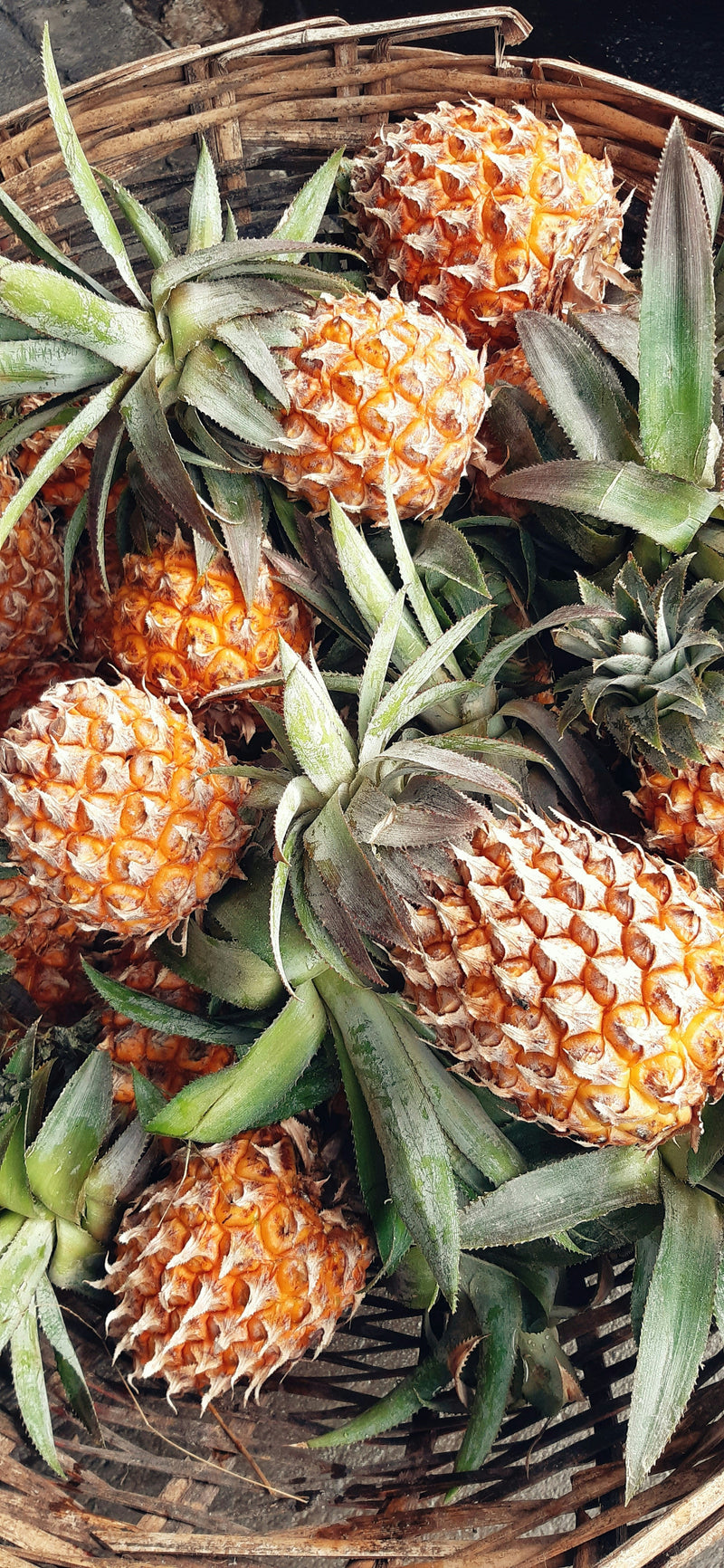 Bromelain